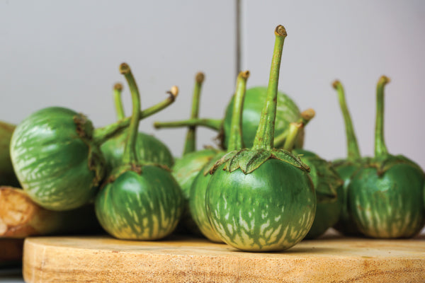 Thai hotsell green eggplant