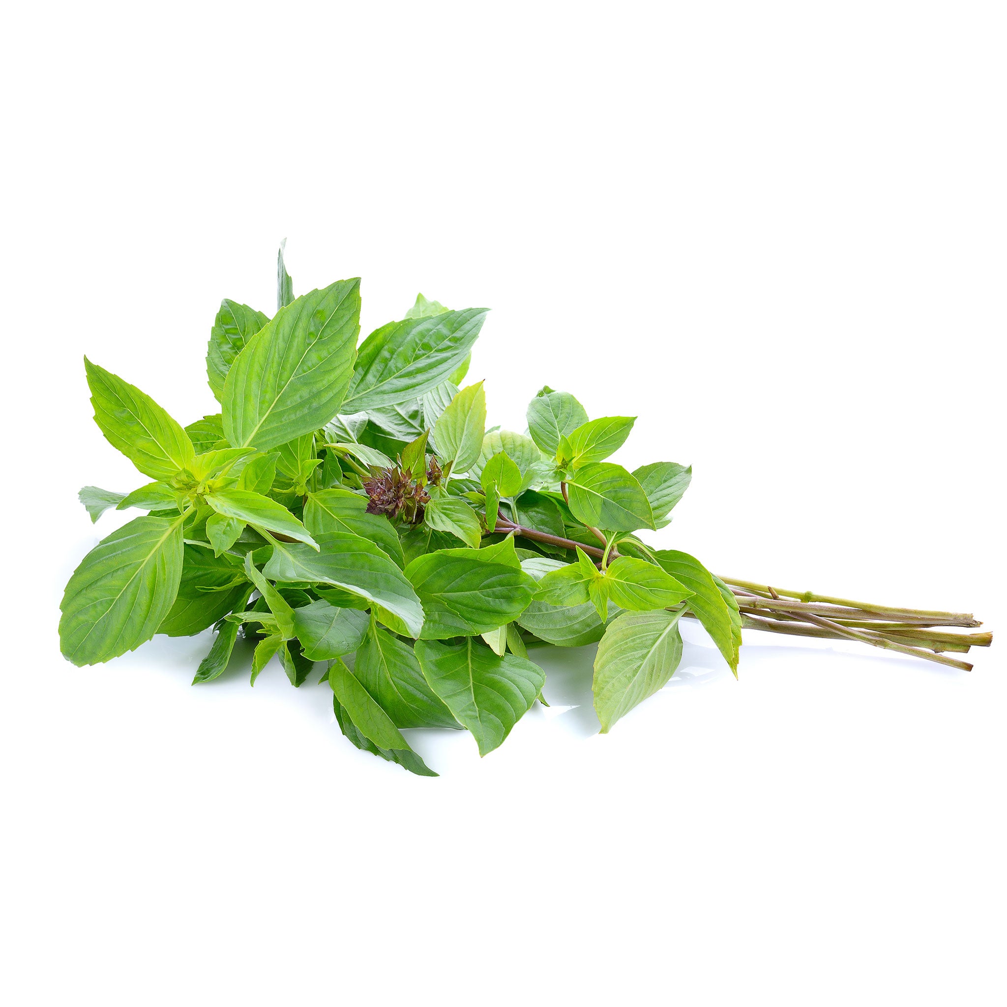 Fresh Thai Sweet Basil Herbs 100g - Imported Weekly from Thailand