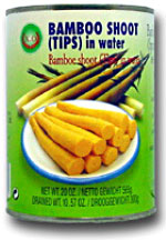 Bamboo Shoot Tips