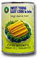 Young Babycorn