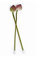 Lotus Flower (Pink)
