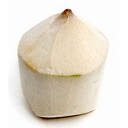 Coconut (young)