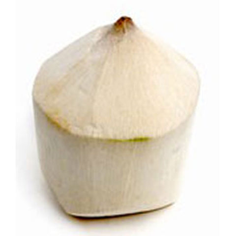 Coconut (young)
