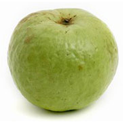 Guava