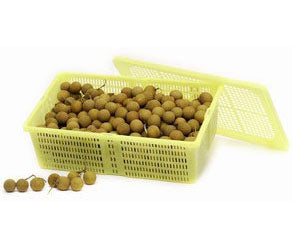 Longan
