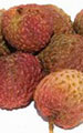 Lychee