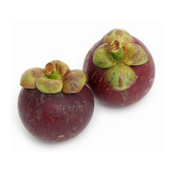 Mangosteen