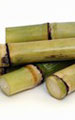 Sugar Cane