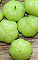 Star Gooseberry