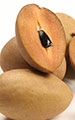 Sapodilla (Naseberry)