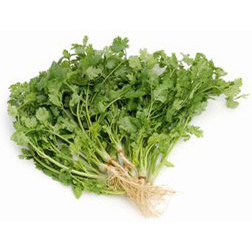 Thai Coriander