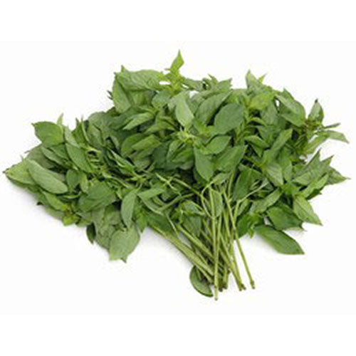 Thai Basil (Sweet)