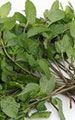 Thai Mint