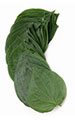Betal Leaf