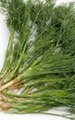 Thai Dill