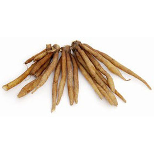 Tumicini (Galingale)
