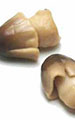 Straw Mushroom