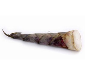 Bamboo Shoot
