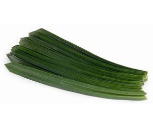 Pandan Leaf