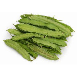 Winged Bean