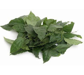 Yanang Leaf