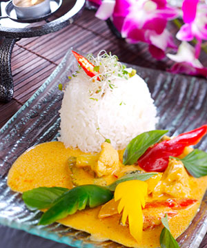 Yellow Curry