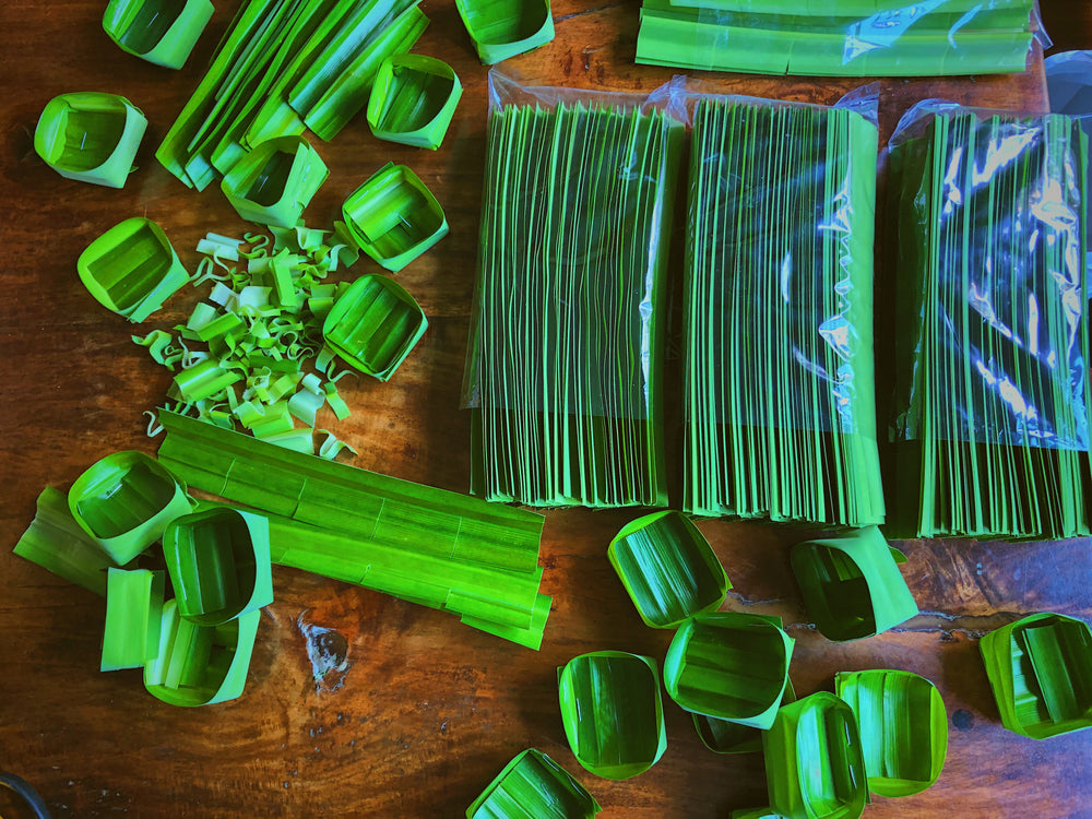 A Quick Guide to Pandan Leaves