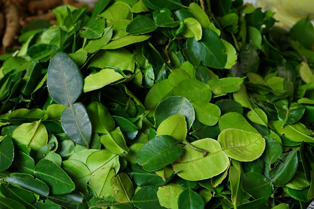A Quick Guide to Kaffir Lime Leaves