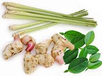 Fresh Thai Herbs