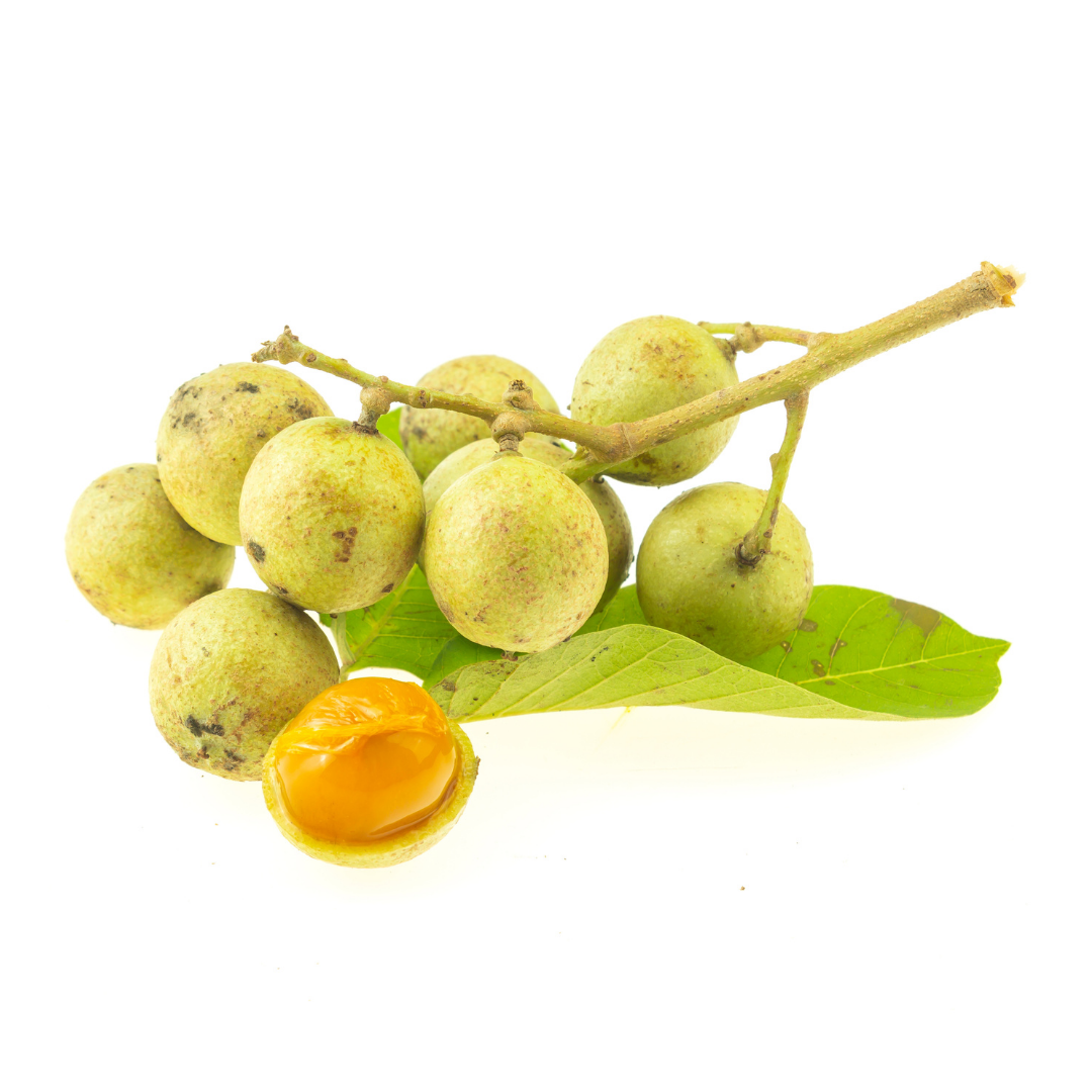 Fresh Ceylon Oak Fruit 500g - Imported Weekly from Thailand