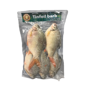 Frozen Tinfoil Barb Fish 900g by Asean Seas