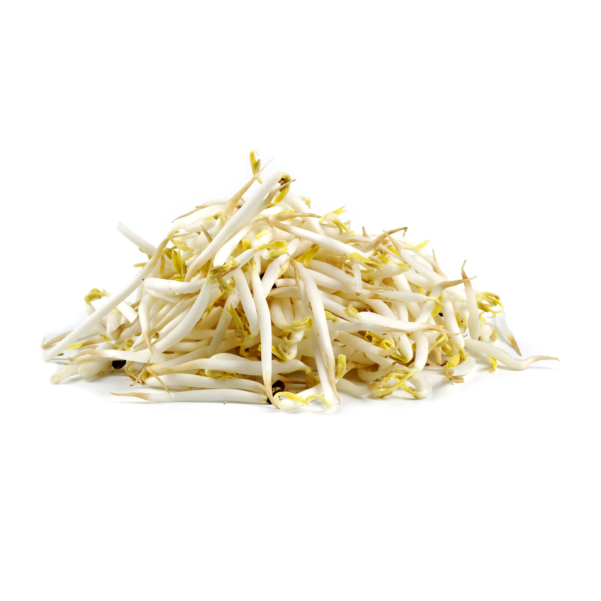 Fresh Beansprouts about 100g - Imported Weekly from Asia