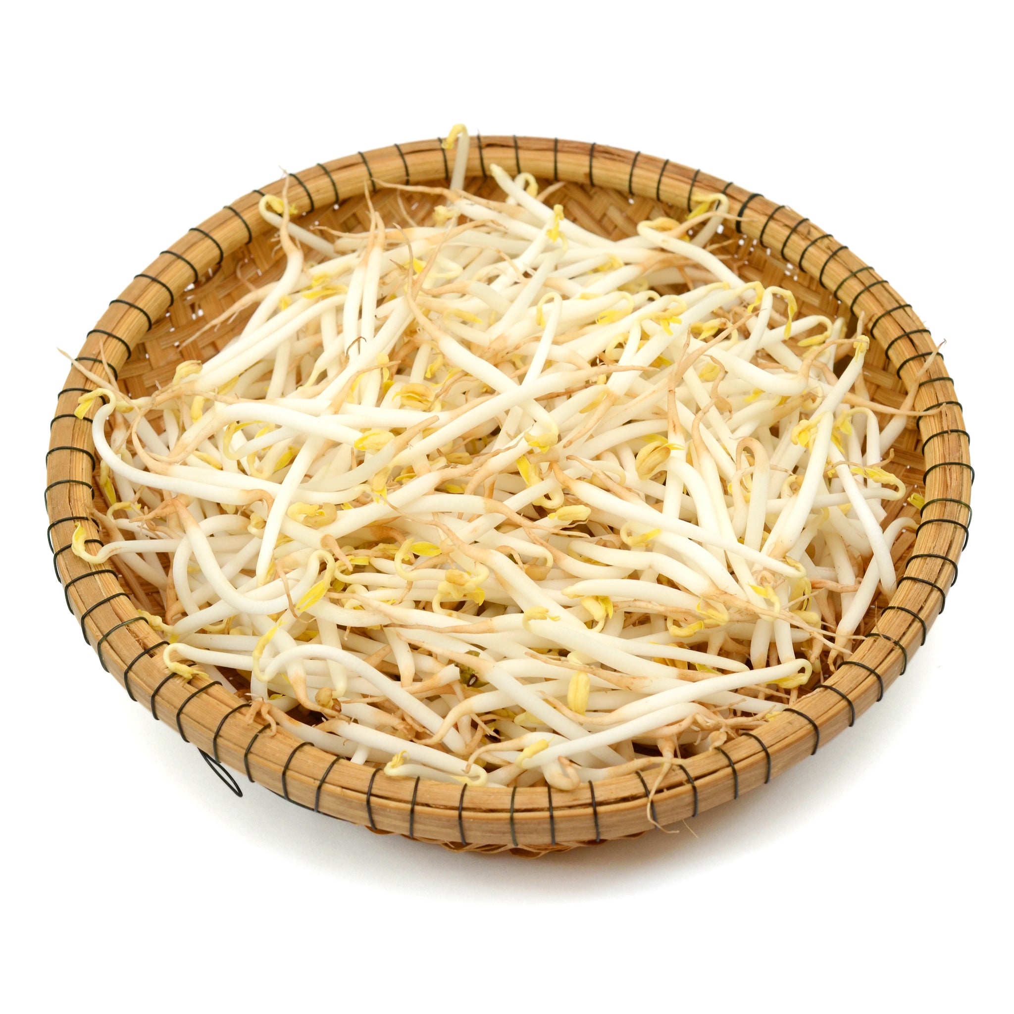 Bean Sprouts  in Salted Water/ beansprouts 400g Can Tinned Vegetables by Golden Swan