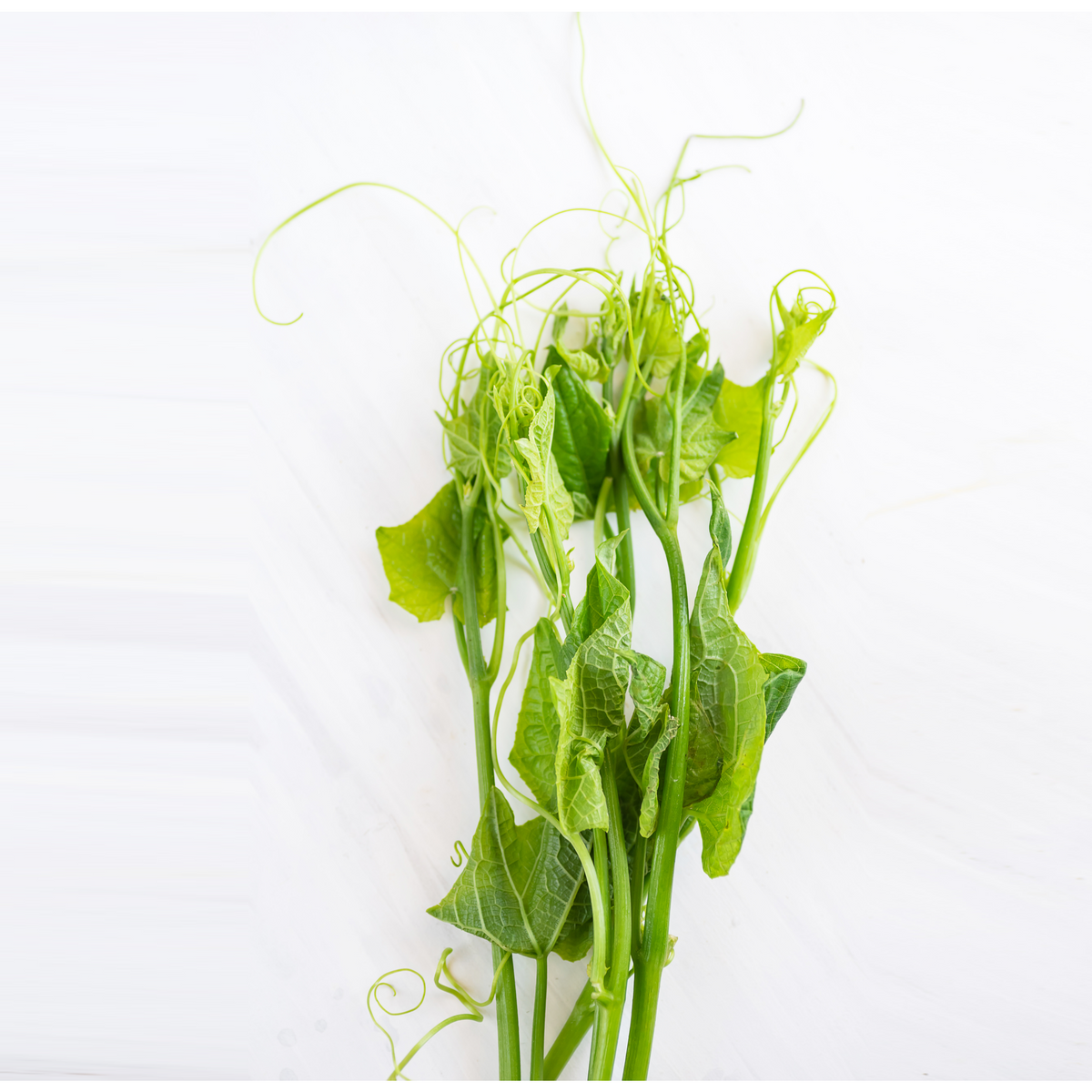 Fresh Thai Chayote / Chow Chow Shoot (Leaf) about 200g - Imported Week ...