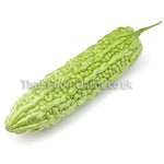 Chinese bitter melon - Thai Food Online (your authentic Thai supermarket)