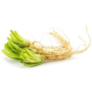Fresh Thai coriander root - Thai Food Online (your authentic Thai supermarket)