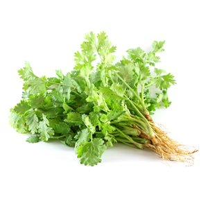 Fresh Thai Coriander Root 100g - Imported weekly from Thailand