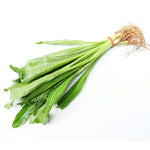 Fresh Thai parsley (stinking) - Thai Food Online (your authentic Thai supermarket)