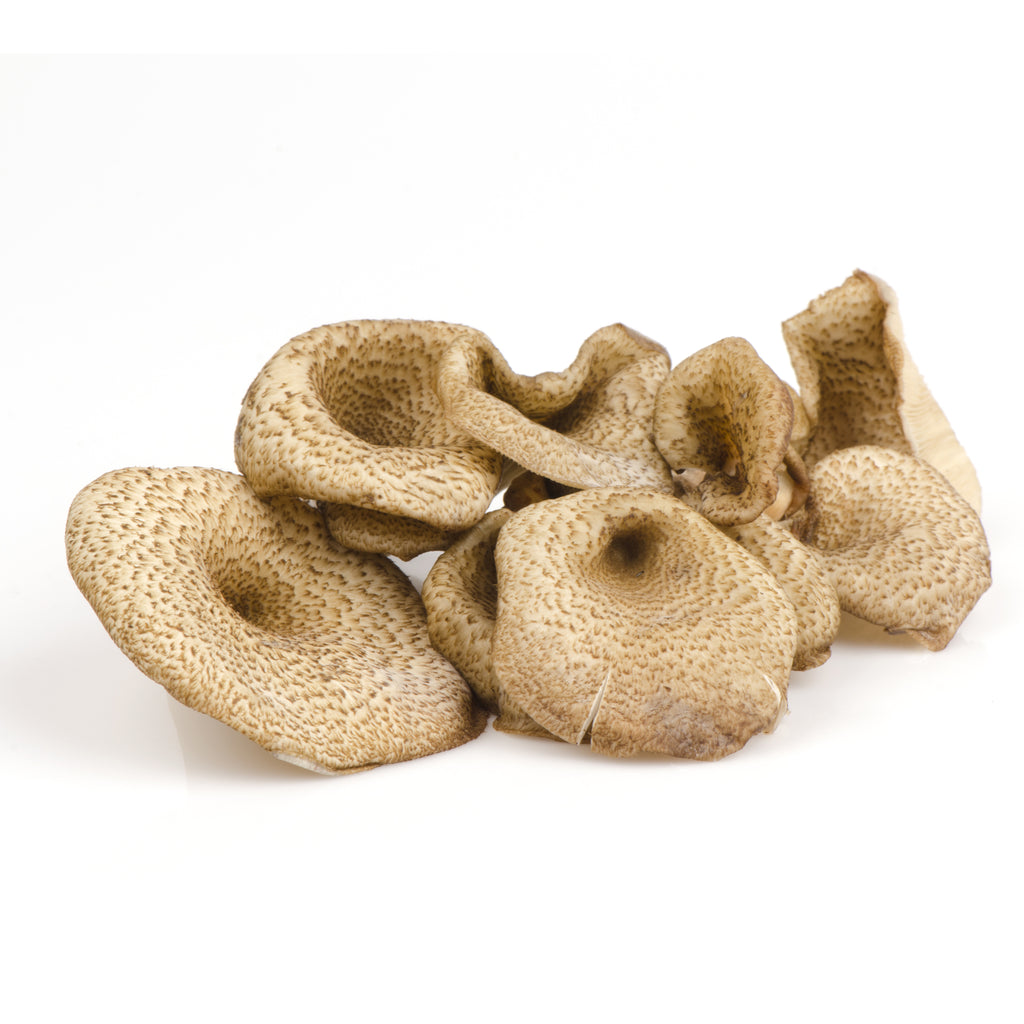 Thai Mushrooms