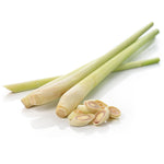 5kgs of Fresh Thai Lemongrass (Lemon Grass)