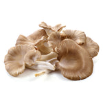 Fresh Thai Oyster Mushrooms 100g - Imported Weekly from Thailand