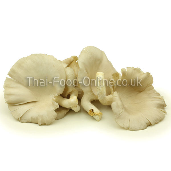 Thai oyster mushroom - Thai Food Online (your authentic Thai supermarket)