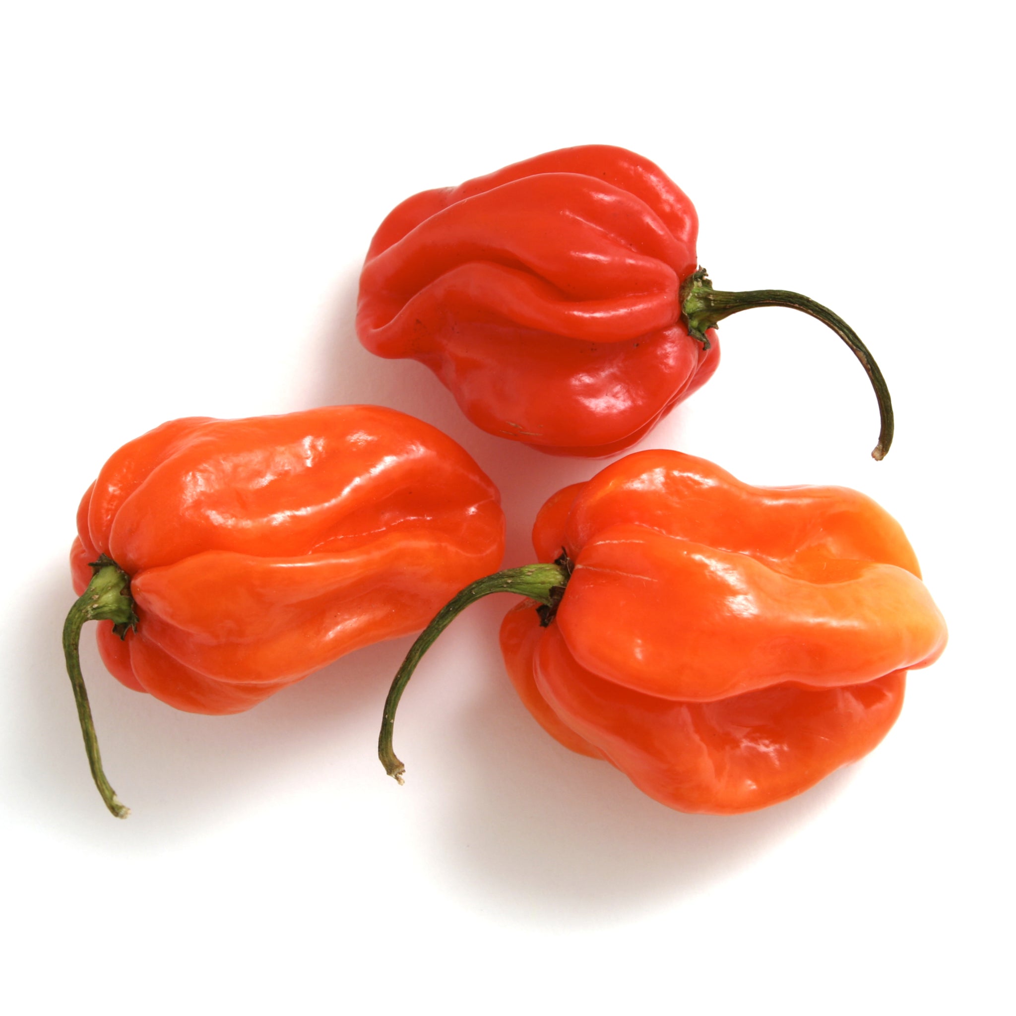 Fresh Scotch Bonnet Peppers Chillies 100g - Imported Weekly