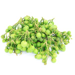 Thai small (pea) eggplant (aubergine) - Thai Food Online (your authentic Thai supermarket)