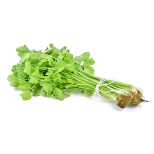 Chinese celery