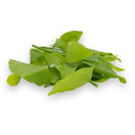 Thai pak wan (melientha suavis) - Thai Food Online (your authentic Thai supermarket)