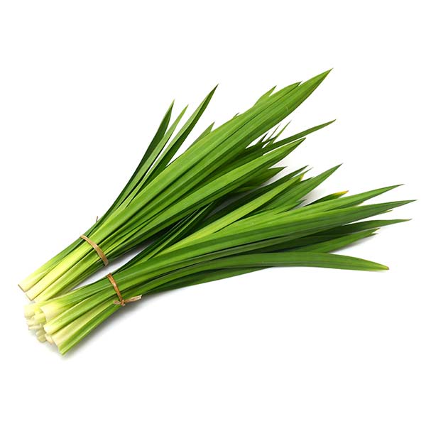 Thai pandan leaf (leaves) - Thai Food Online (your authentic Thai supermarket)