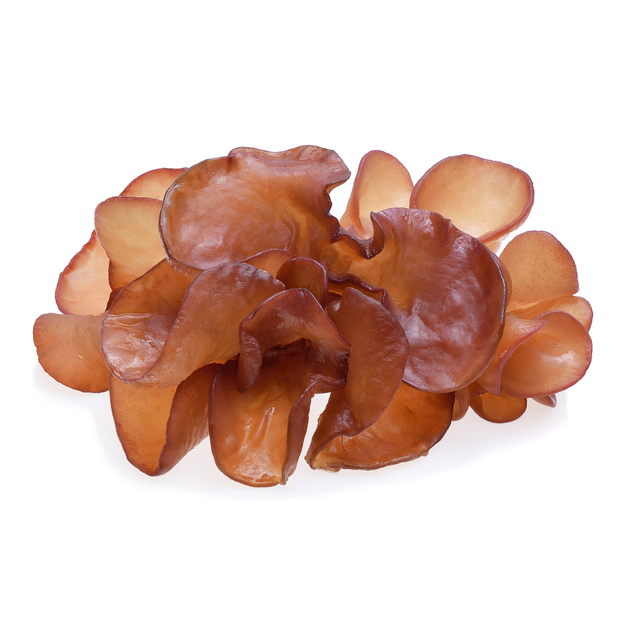 Fresh Thai Wood Ear Mushrooms 100g - Imported Weekly from Thailand